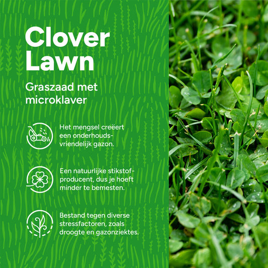 Clover Lawn - Graszaad Met Microklaver