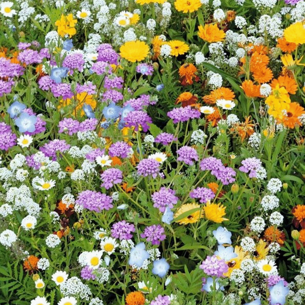 Rotstuinen Bloemenmix1 Jarig