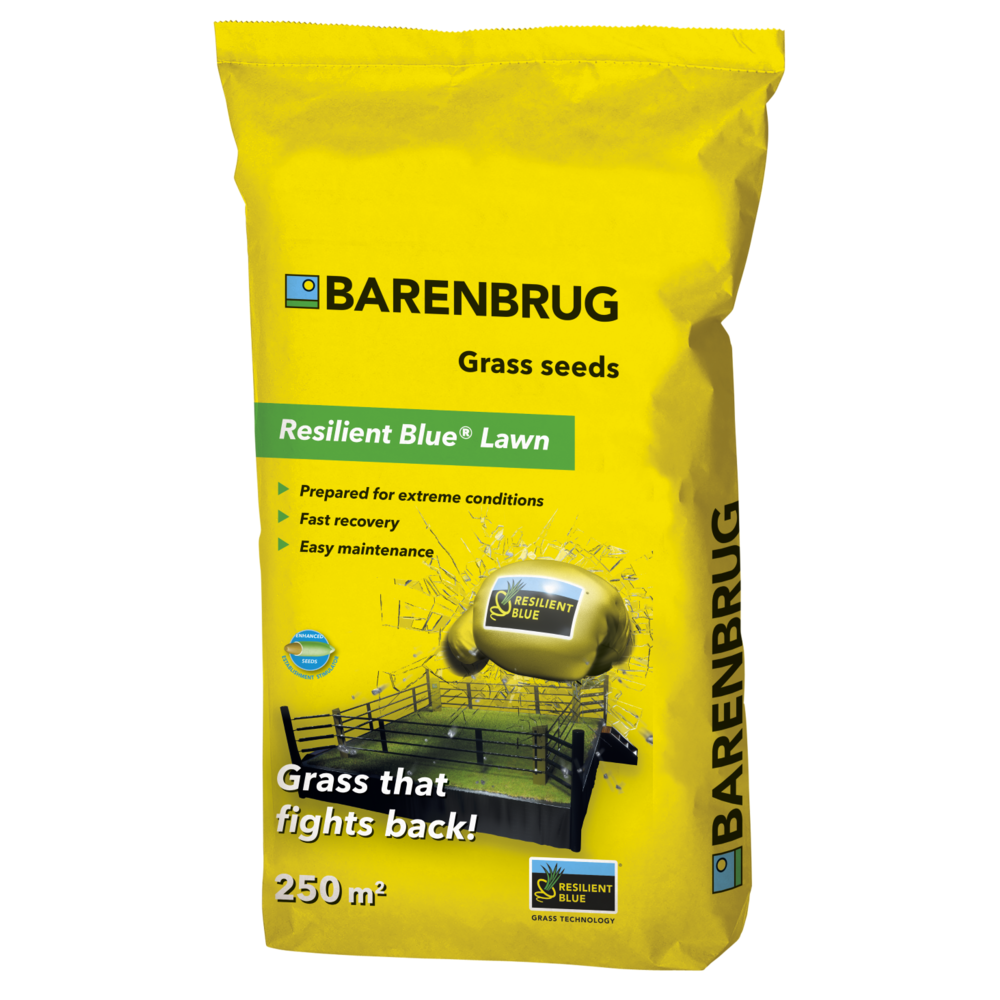 Resilient Blue Lawn | Barenbrug