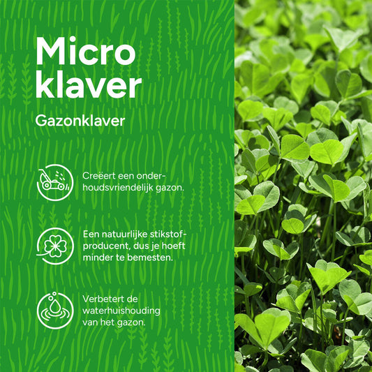 Microklaver - Gazonklaver