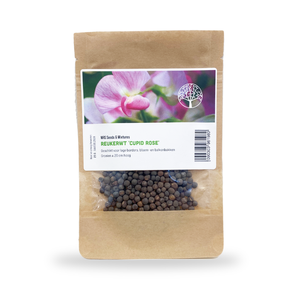 Reukerwt 'Cupid Rose' Gemengd