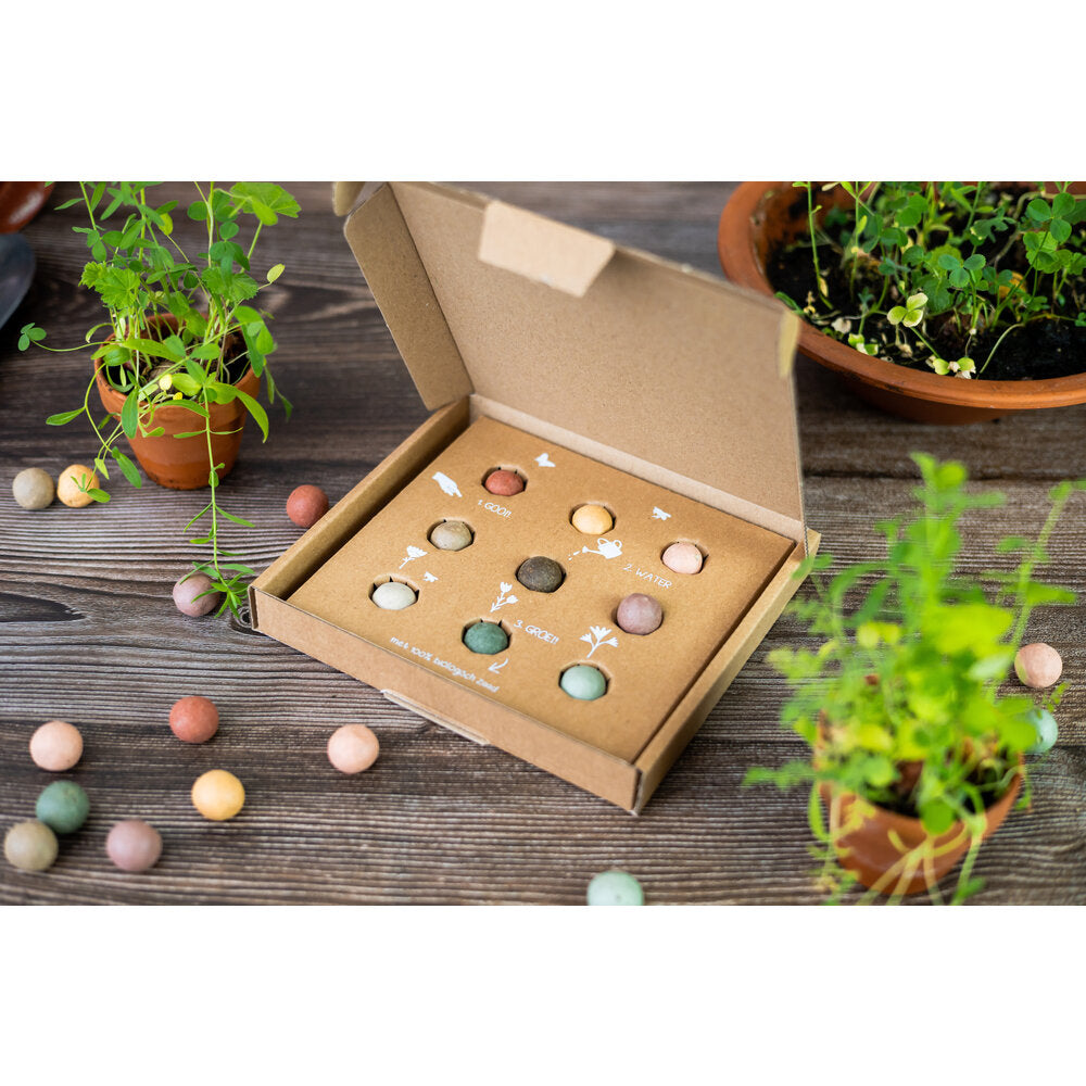 Giftbox Medium - Most Colorful Time Of The Year - 9 Stuks