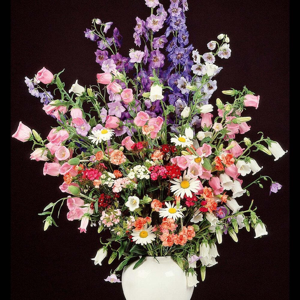 Zomerbloemenmengsel Hoog - Meerjarig