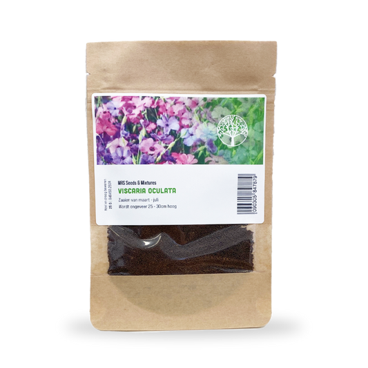 Hemelroosje Mix - Viscaria Oculata