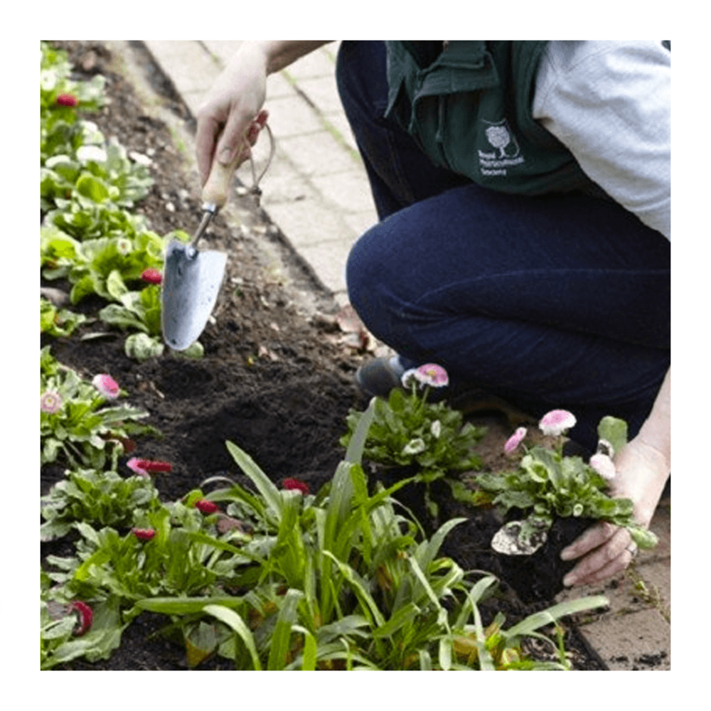 RHS Plantschopje Met Maatvoering (inch)