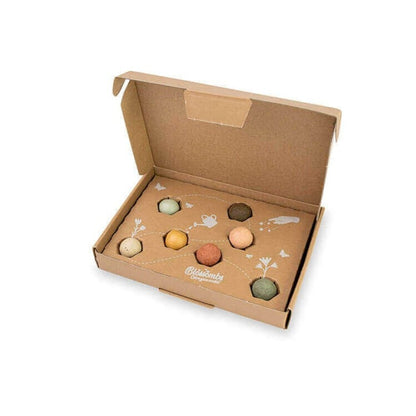  Giftbox Small Zaadbolletjes - 7 Stuks