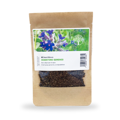  Ossentong - Anchusa Capensis 'Dawn'