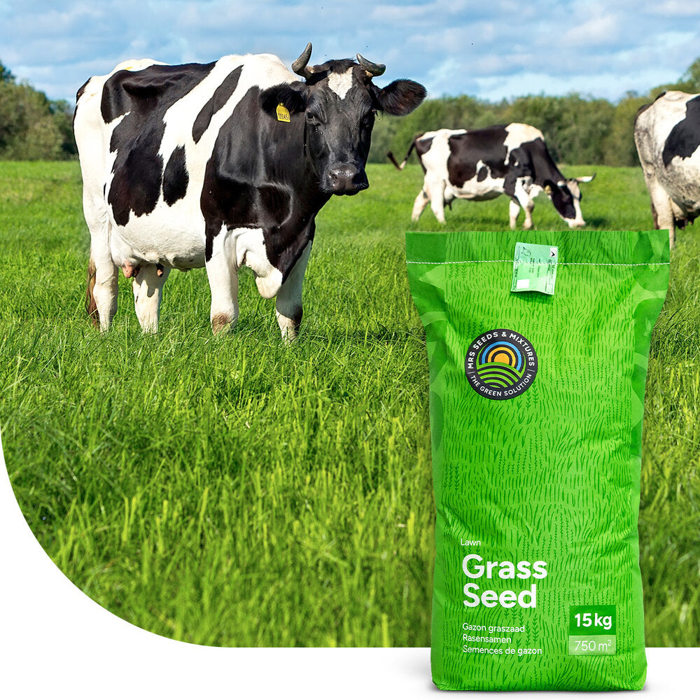  Graze - Graszaad | Grasland 3