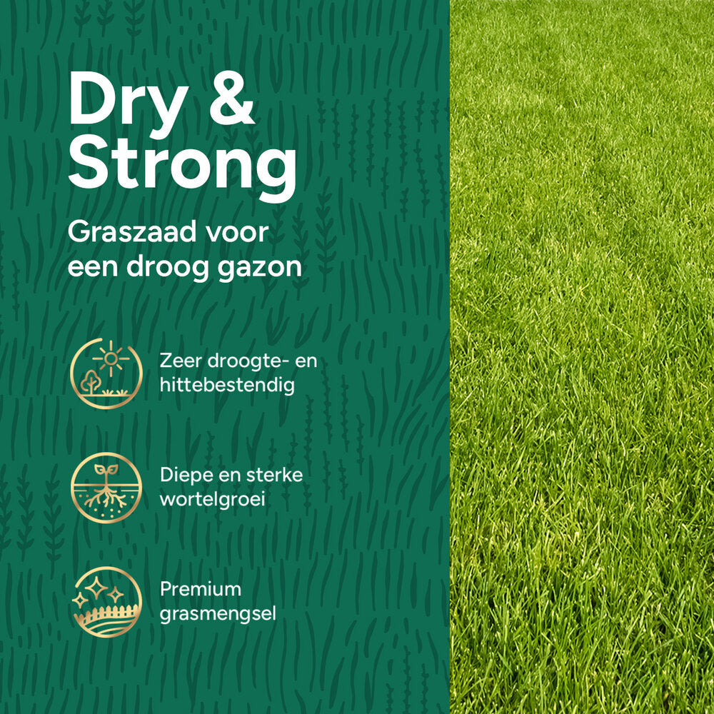  Dry & Strong Premium - Droogtebestendig Graszaad 10 Kg - 500 M²