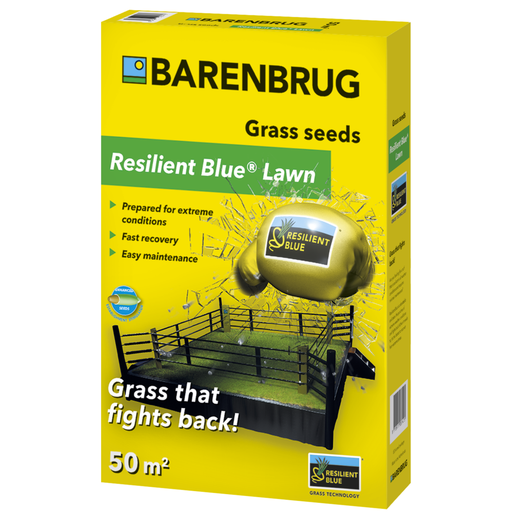  Resilient Blue Lawn | Barenbrug