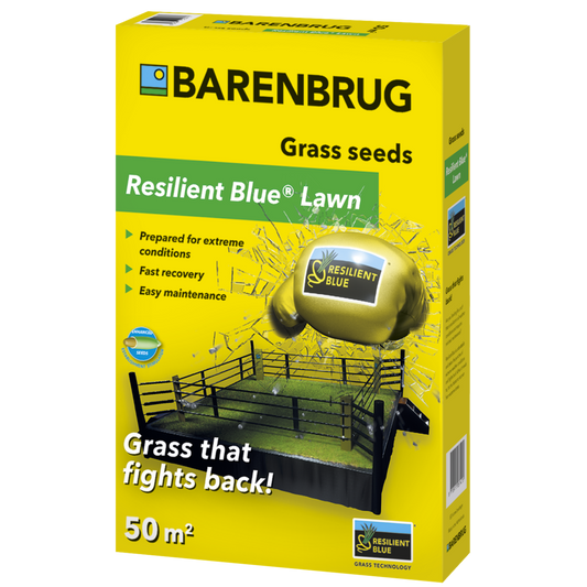  Resilient Blue Lawn | Barenbrug