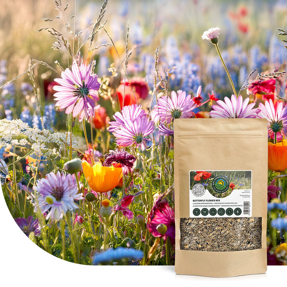  Vlinderbloemenmengsel één-en Meerjarig