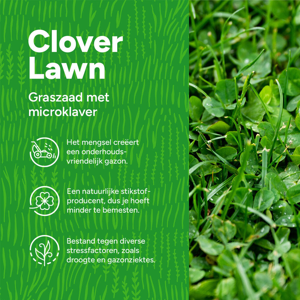  Clover Lawn - Graszaad Met Microklaver
