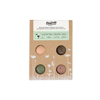  Giftbox Mini Zaadbolletjes - 4 Stuks