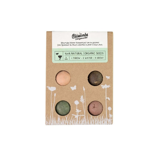  Giftbox Mini Zaadbolletjes - 4 Stuks