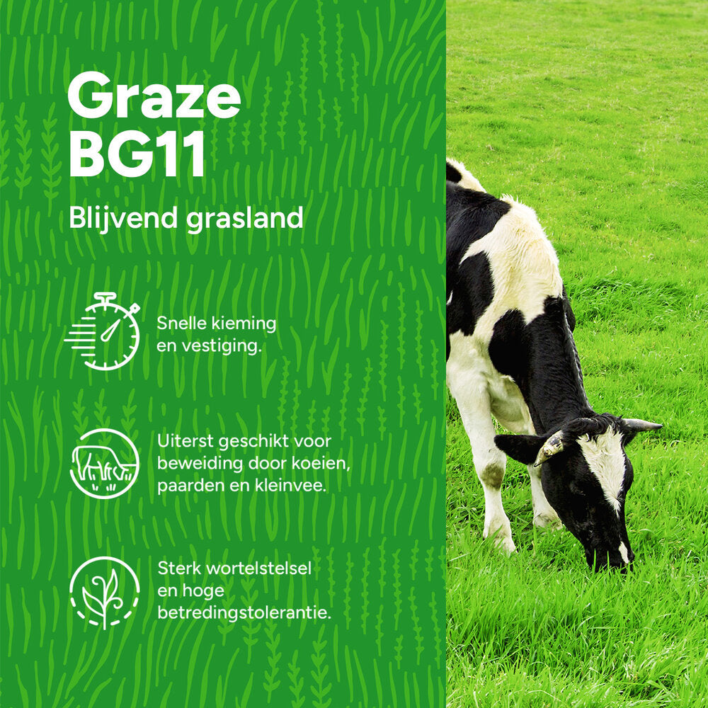  Graze -BG11 | Blijvend Grasland