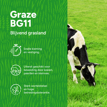  Graze -BG11 | Blijvend Grasland