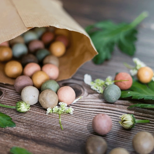  Kraft Zak Zaadbolletjes MIX