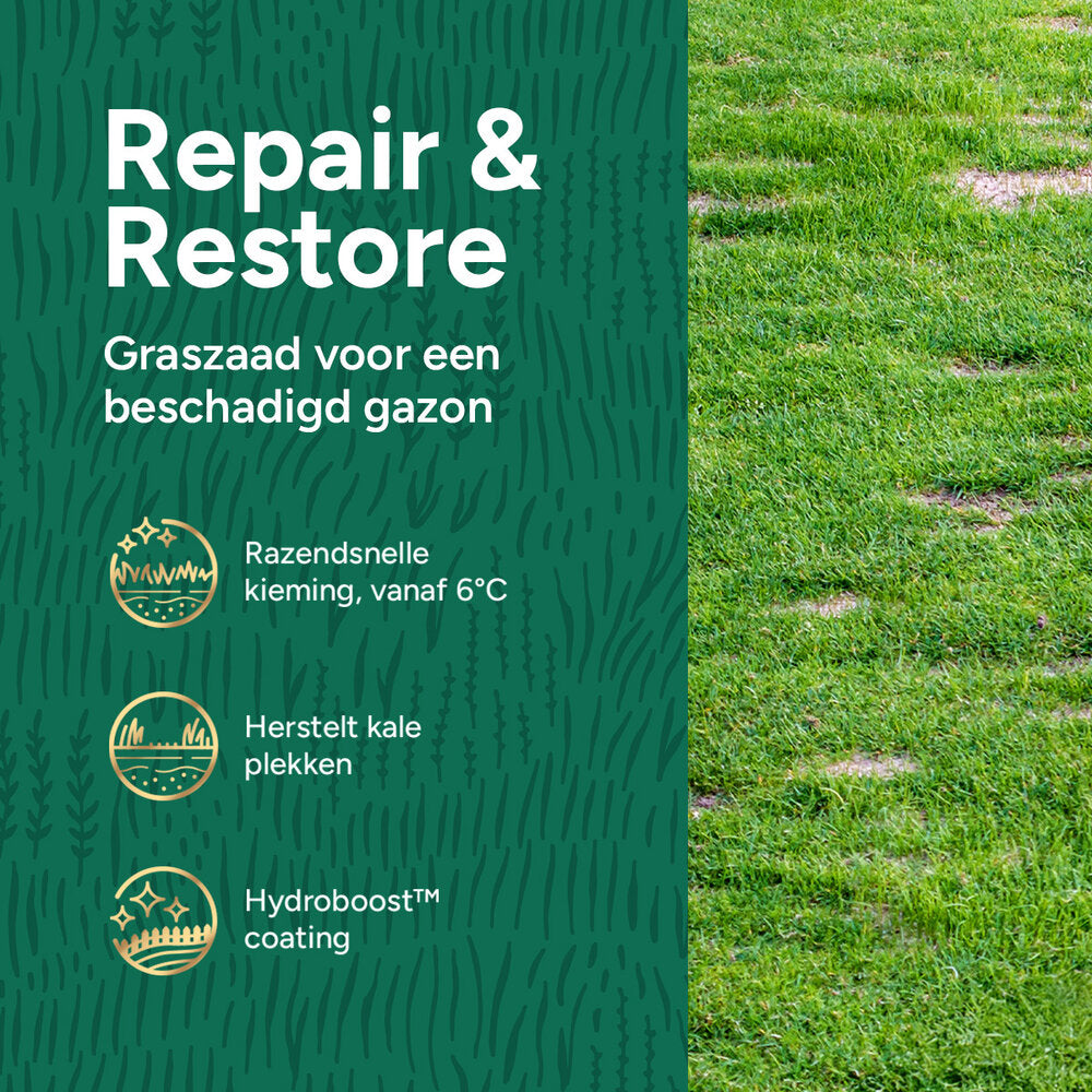  Repair & Restore Premium - Graszaad Voor Gazonherstel 10KG