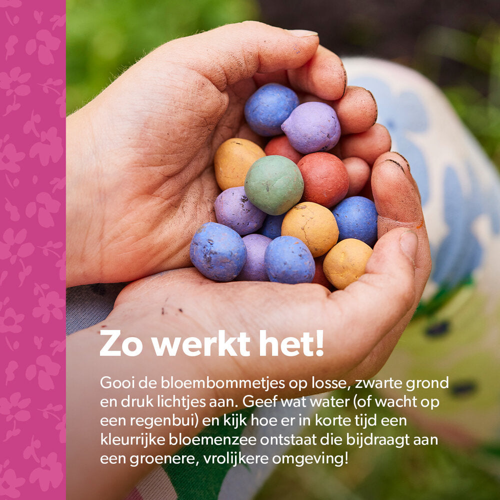  Flower Bombs - Zaadbommen Mix - Van Harte Gefeliciteerd!