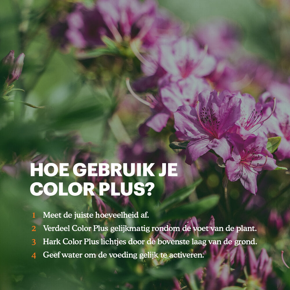  Color Plus – Rhodo, Hortensia En Azalea Meststof - 3 Kg