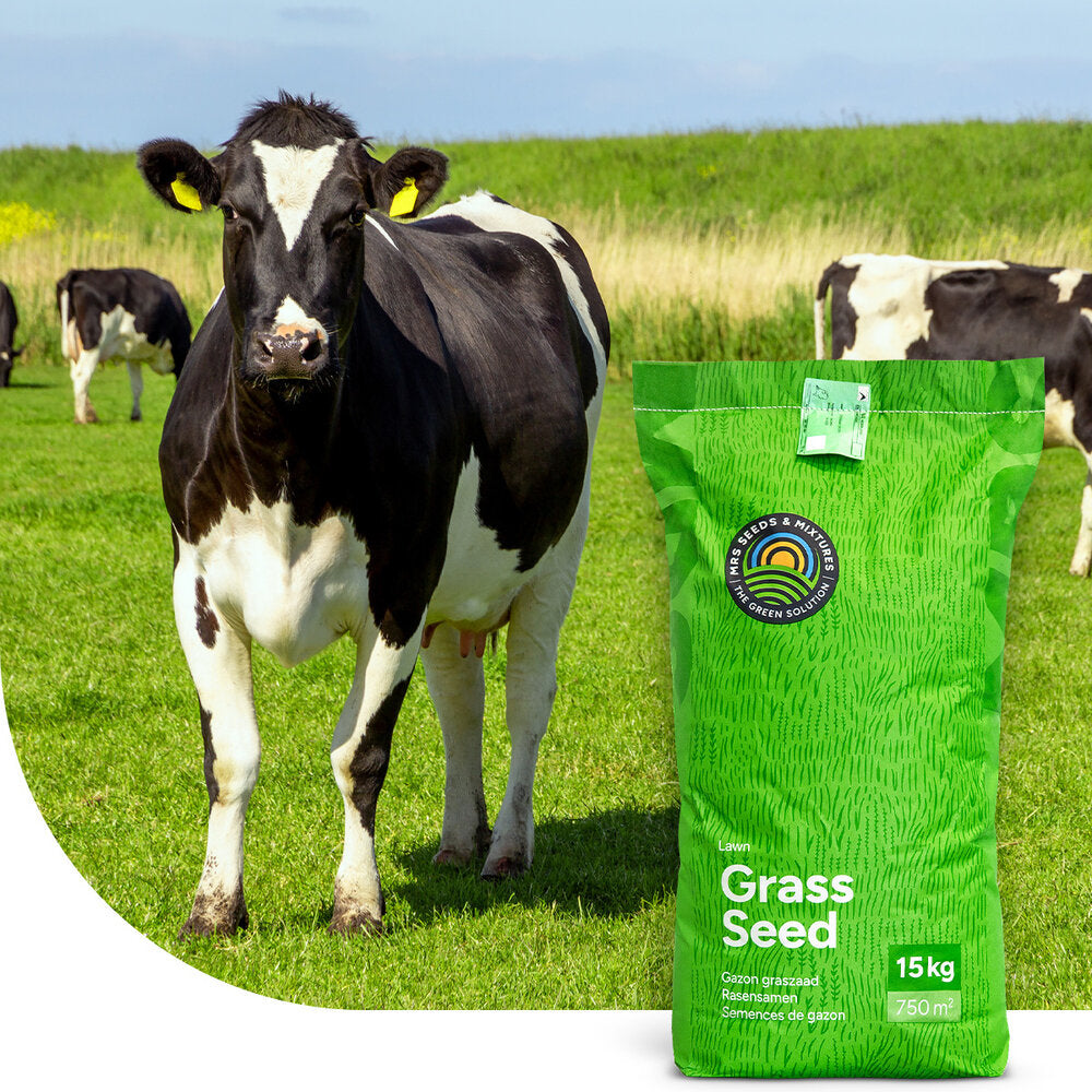  Graze - BG4 | Blijvend Grasland 15KG