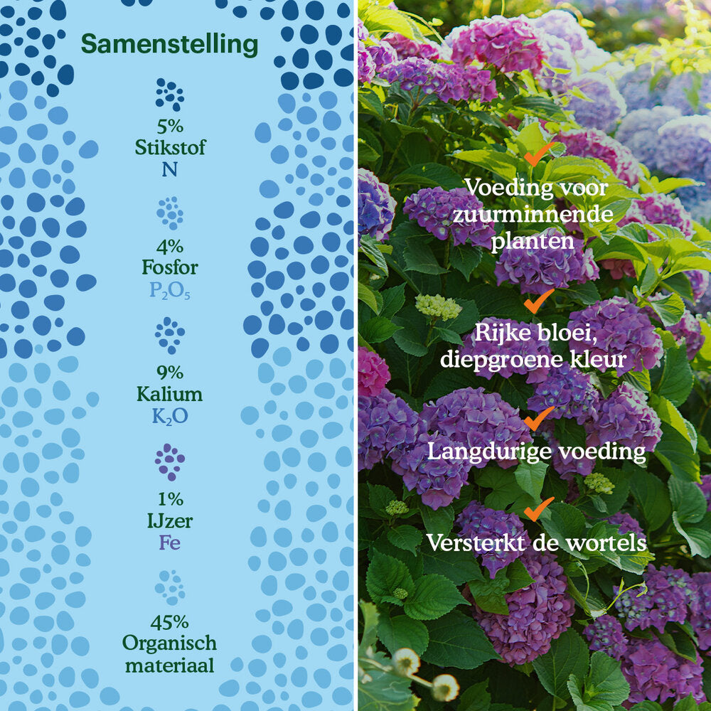  Color Plus – Rhodo, Hortensia En Azalea Meststof - 3 Kg