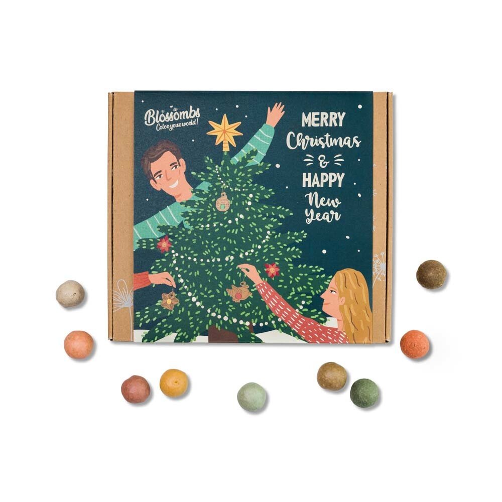  Giftbox Medium 'Xmas' Zaadbolletjes