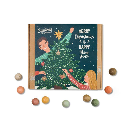  Giftbox Medium 'Xmas' Zaadbolletjes