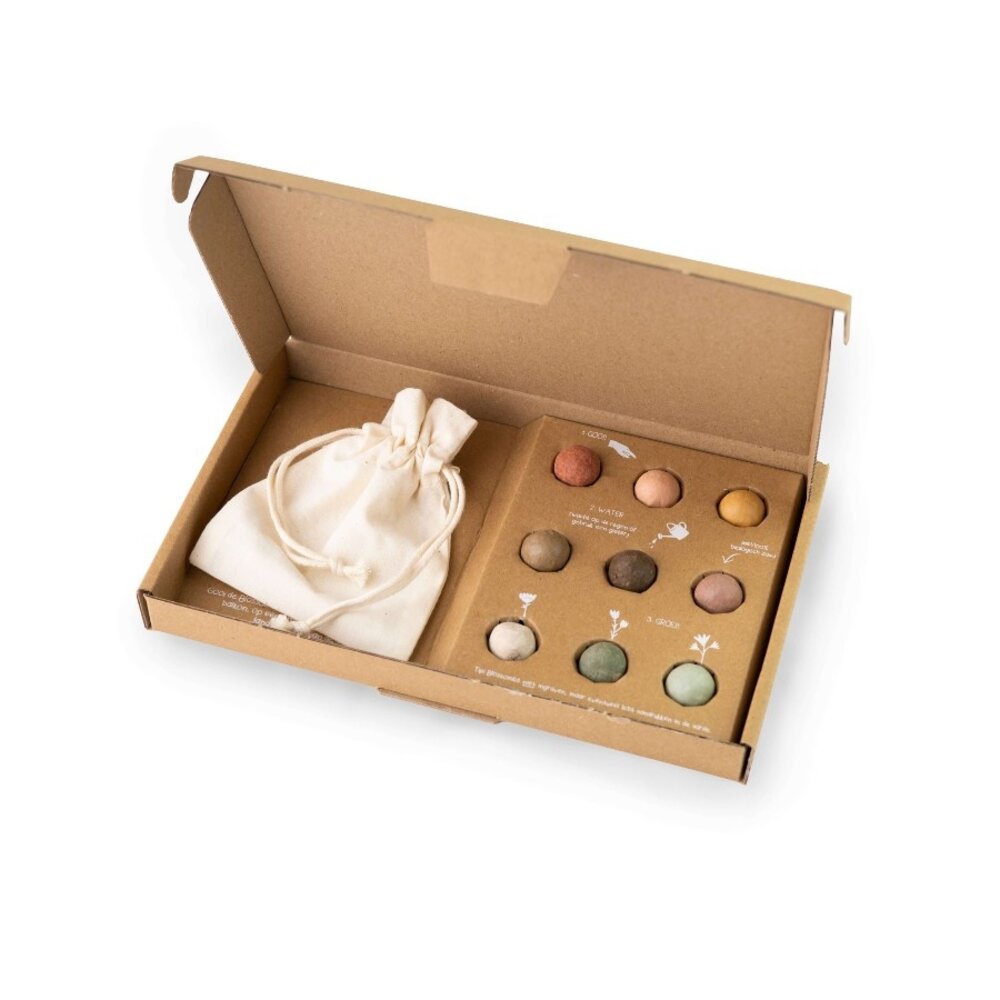  Giftbox Large Zaadbolletjes - 9 Stuks