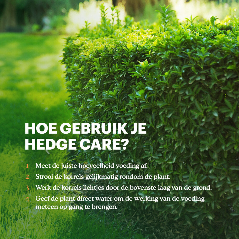  Hedge Care – Hagen, Taxus & Coniferen Meststof - 3 Kg