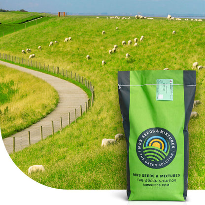  Dijken 1 - 15 Kg | Smakelijk Gras Voor Beweiding