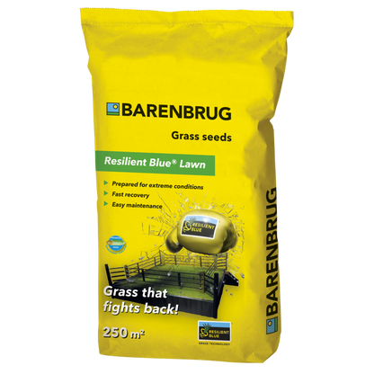  Resilient Blue Lawn | Barenbrug