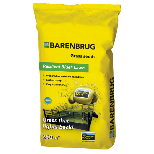  Resilient Blue Lawn | Barenbrug