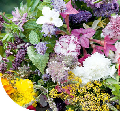  Bloemenmengsel Geurende Tuinen 1-jarig