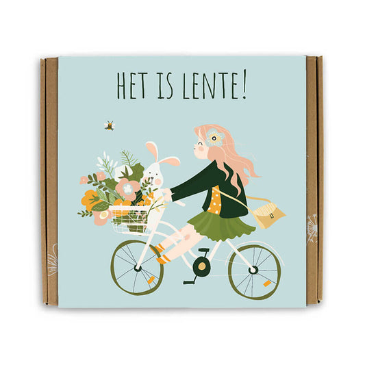  Giftbox Medium 'Het Is Lente' Zaadbolletjes - 9 Stuks