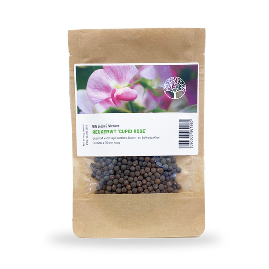  Reukerwt 'Cupid Rose' Gemengd