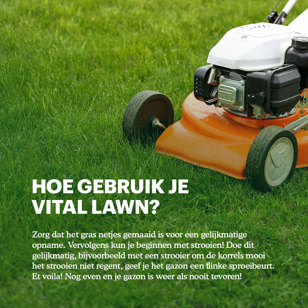  Vital Lawn - Gazonmest Met Kalk - 3 Kg
