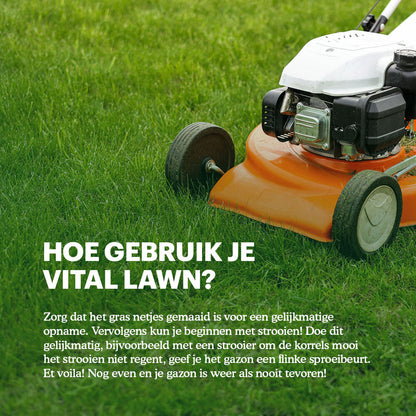  Vital Lawn - Gazonmest Met Kalk - 3 Kg