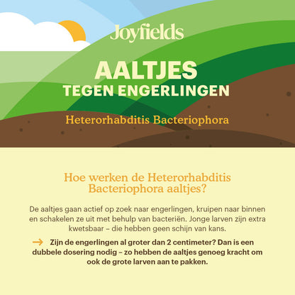  Aaltjes Tegen Engerlingen (Heterorhabditis Bacteriophora)