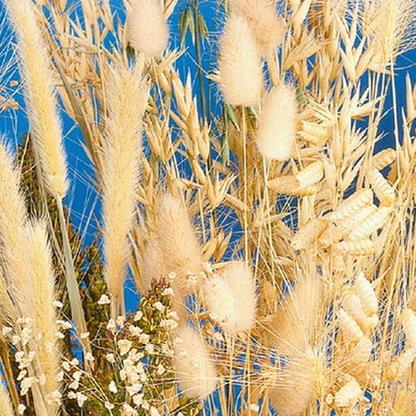  Siergrassenmengsel