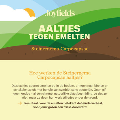  Aaltjes Tegen Emelten (Steinernema Carpocapsae)