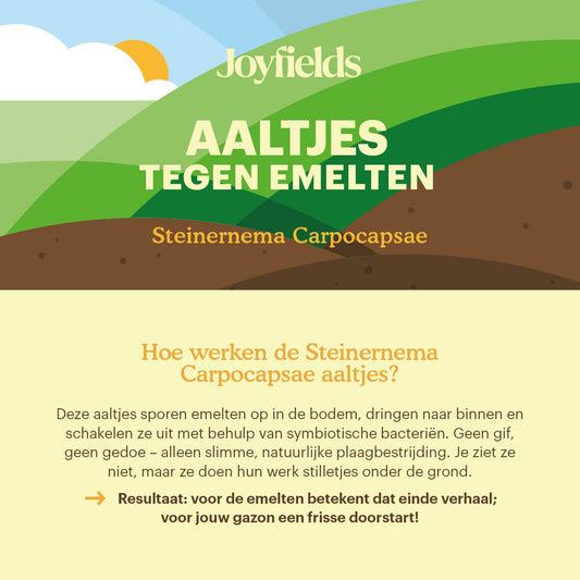  Aaltjes Tegen Emelten (Steinernema Carpocapsae)