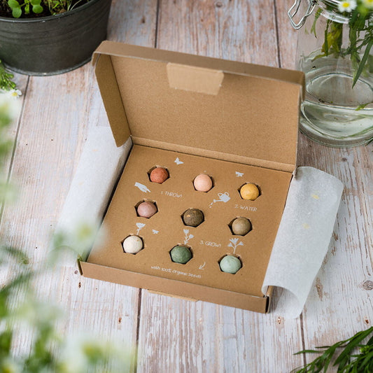  Giftbox Medium 'Xmas' Zaadbolletjes