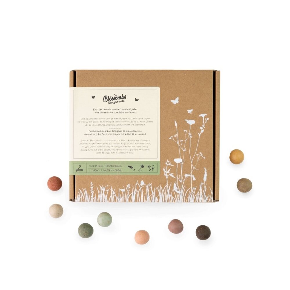  Giftbox Medium Zaadbolletjes - 9 Stuks