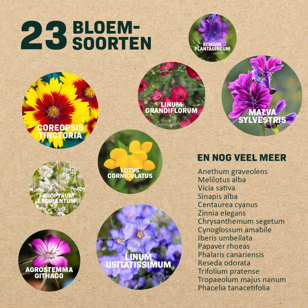  Vlinderbloemenmengsel één-en Meerjarig