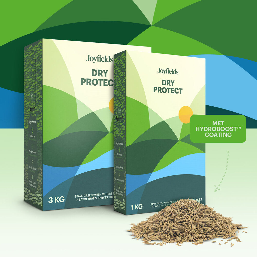  Dry Protect – Droogtebestendig Graszaad