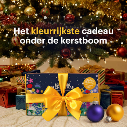  Bloemzaden Adventskalender - Sow This Is Christmas