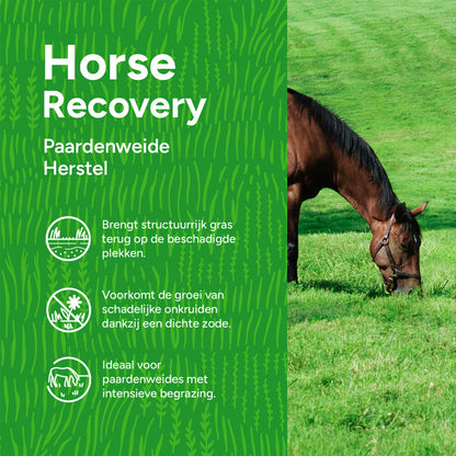  Horse - Recovery Mix | Herstel Paardenweide
