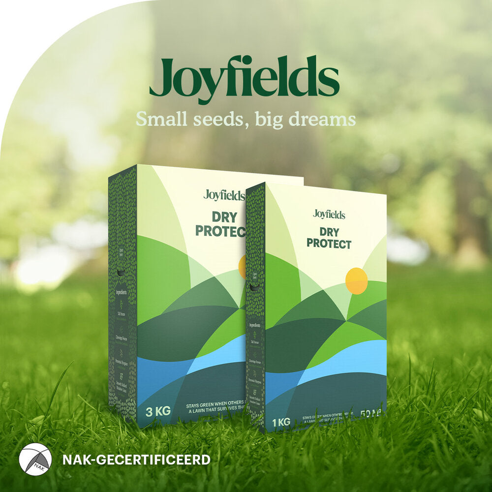  Dry Protect – Droogtebestendig Graszaad